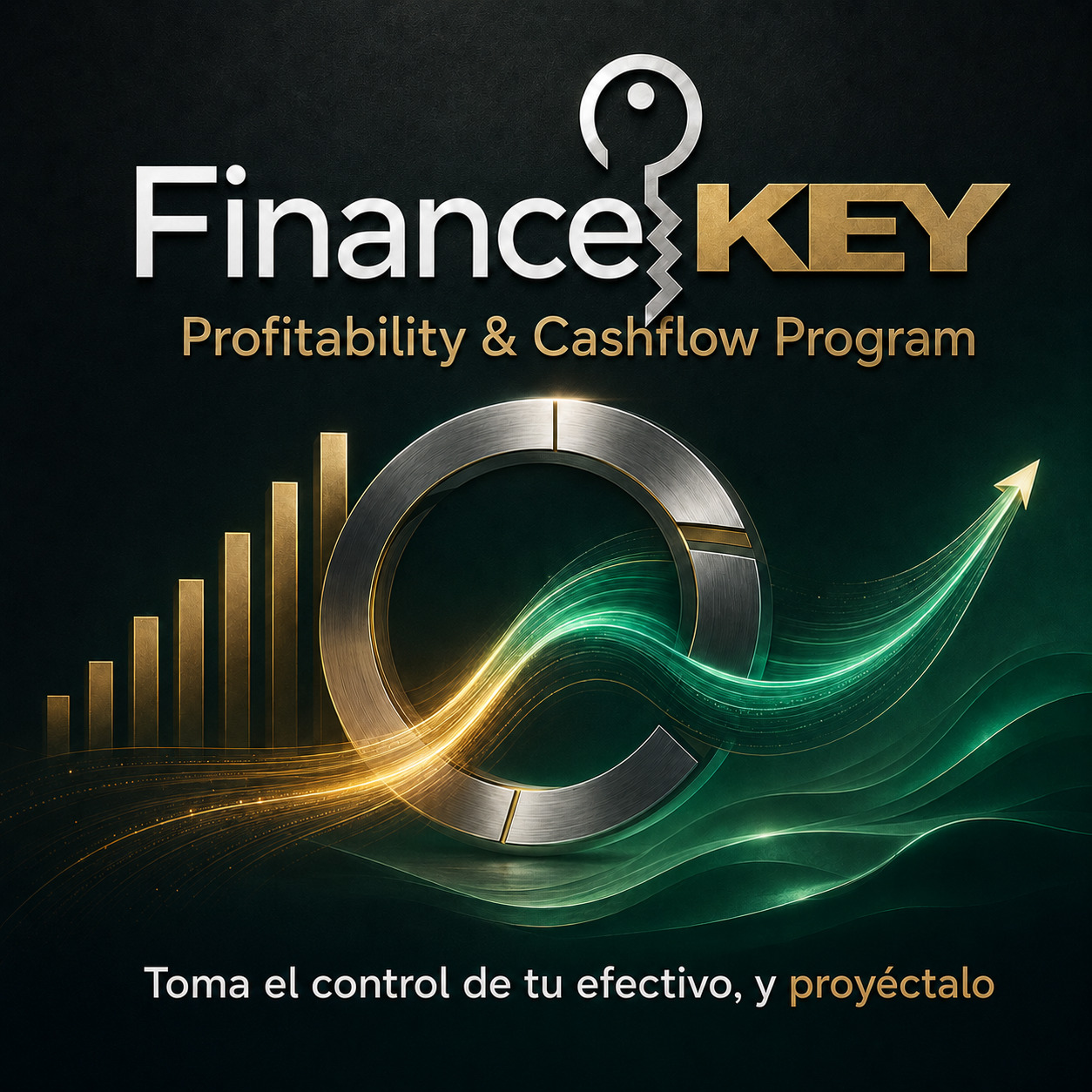 FinanceKEY Profitability and Cashflow Program